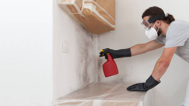 Professional Crawl Space Mold Removal technician working in Capron, IL