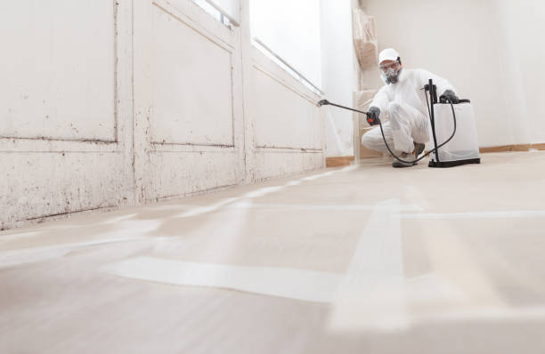 24/7 Emergency Crawl Space Mold Removal experts in Capron, IL