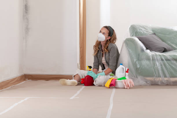 Reliable Crawl Space Mold Removal contractor in Capron, IL by WQB Mold Removal