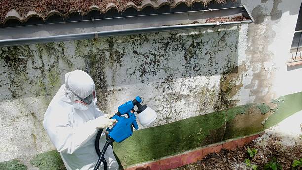 Top rated local Crawl Space Mold Removal specialists in Capron, IL